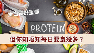 多種蛋白質食物示意，說明每日蛋白質攝取量與來源