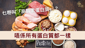 多種高質素蛋白質來源，包括魚類、雞肉、雞蛋、豆類及乳製品  